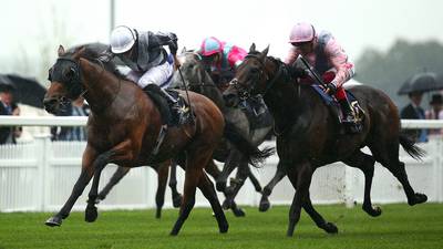 Circus Maximus crowns fine day for Aidan O’Brien at Royal Ascot