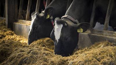Grafton Group to challenge proposed Offaly manure-to-gas plant