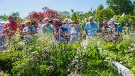 Bloom 2018: everything you need to know about the garden festival