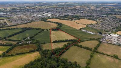 Site for 255 homes near Newbridge on sale for €4m-plus