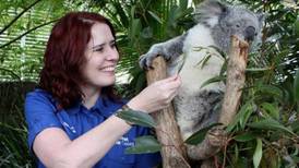 ‘I’m living my childhood dream working with koalas’