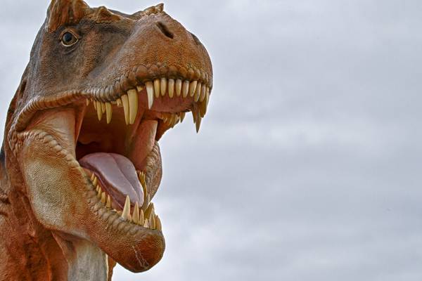 Colours of dinosaurs thrown into doubt by new UCC study