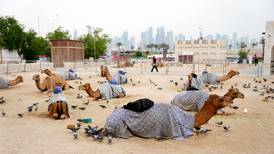 Ken Early in Doha: This simulation of a city is a place produced when money and lives are no object