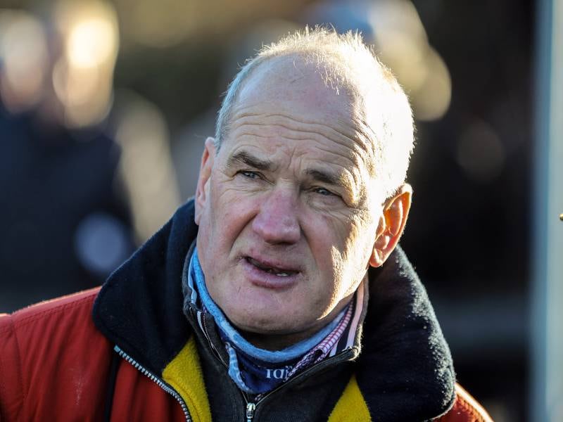 High Court considers whether to pause three-month suspension on trainer Tony Martin