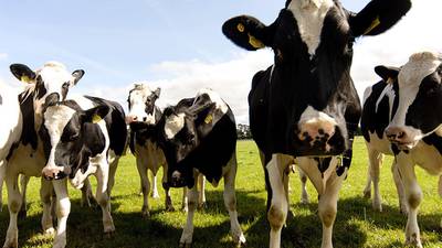 Research centre aims to make Irish dairy products the cream of the crop