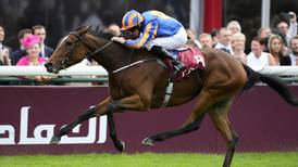 Found leads powerful Aidan O’Brien team  in to Tattersalls Irish 1,000 Guineas