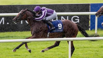 Four declared for Irish Champion Stakes at Leopardstown