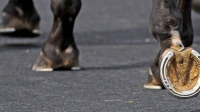 Equestrian body spent more than €650,000 on severance payments and settlements