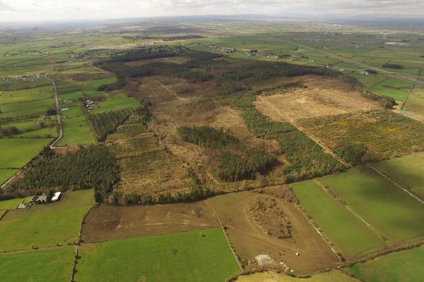 Apple data centre:  Low lies appeal of Athenry
