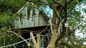 Branch out: treehouse living