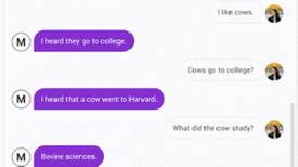 Is Google’s new chatbot a person?