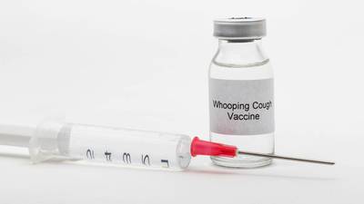 Pregnant? Get the flu and whooping cough vaccinations