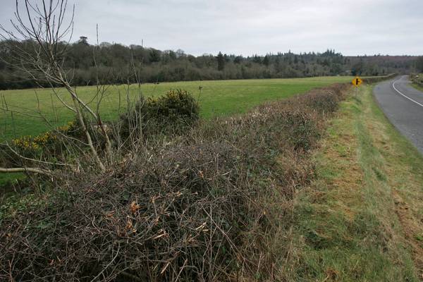 Illegal hedgerow cutting to be met with ‘zero tolerance’ approach
