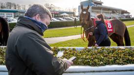 Dead horse in Gordon Elliott photograph was owned by Michael O’Leary