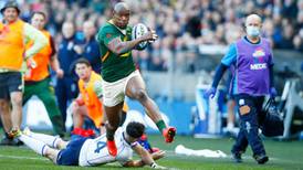 South Africa forwards lay platform for comfortable win over Scotland