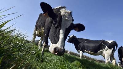 Dairy sector facing fine of up to €80m for oversupply of milk