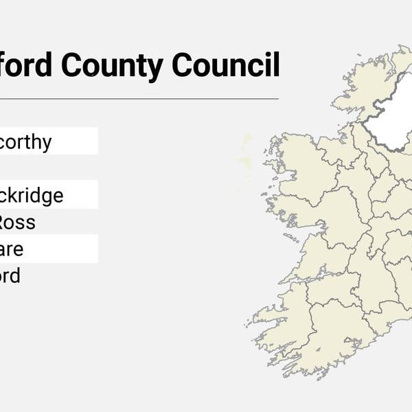 Local Elections: Wexford County Council