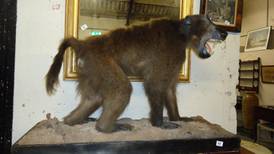 Auction results: Postcards from history and a stuffed baboon