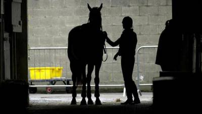 Department of Agriculture refuses to release documents on  horse meat scandal