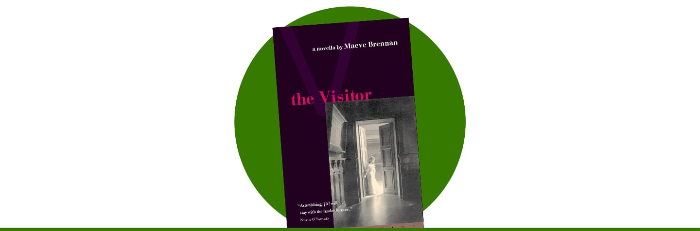 The Visitor by Maeve Brennan (2001)