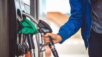 Consumers to be cushioned from price impact of biofuel blending until next autumn