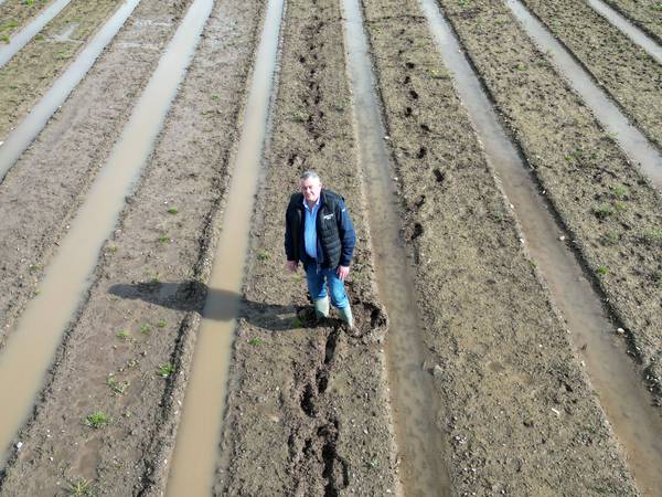 Nine months of rain is creating a mounting crisis for Irish farmers