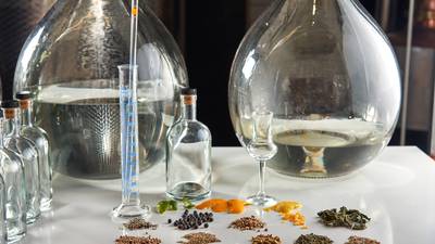 Craft gin with a difference: a round-up of tasty botanicals