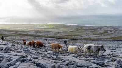 I flew over the Burren in 1975. It changed my life forever