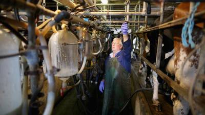 Aldi and Morrisons vow to raise milk price paid to UK farmers