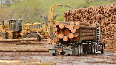 Government’s €1.3bn forestry plan stalled