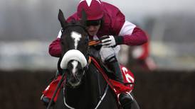 Don Cossack makes the perfect reappearance at Punchestown