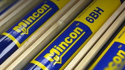 Mincon pre-tax profit dips as company reorganises activities