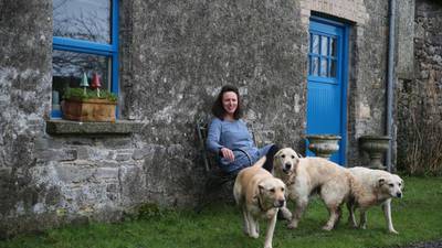 Rural idyll: From city to country life and from barn to holiday let