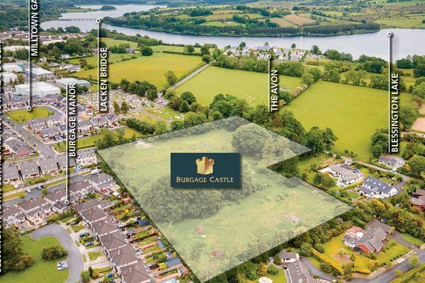 Blessington land with full planning for 56 new homes seeks €4.5m