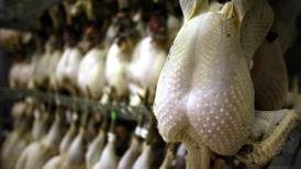 US poultry workers forced to wear nappies, report claims