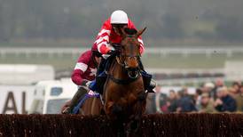Cheltenham hero Coneygree out of Hennessy Gold Cup