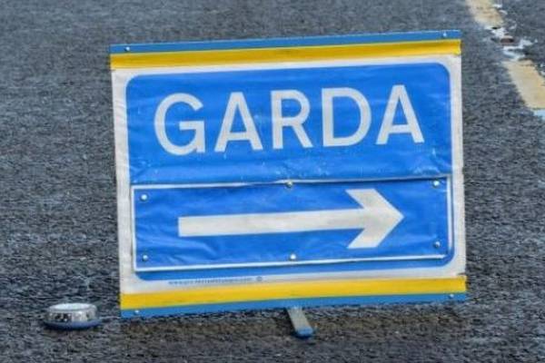 Man (60s) dies after being hit by van in Co Cavan
