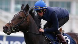 Jack Hobbs leads the field as odds-on favourite for Irish Derby