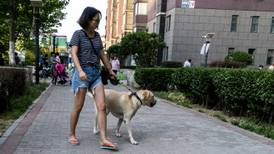 A dog’s life in China as surge in middle classes creates boon for pet industry