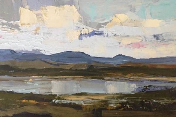 Art for rescue dogs: Connemara sale features some of Ireland’s top artists