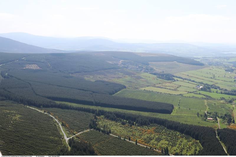 Forestry portfolio offers opportunity for long-term growth at €7m