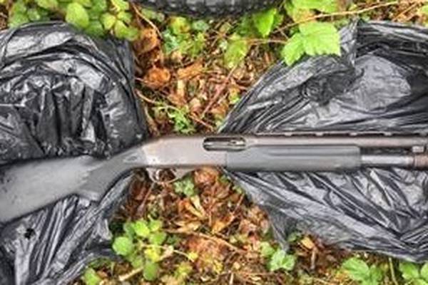 Loaded sawn-off shotgun found in undergrowth in west Dublin