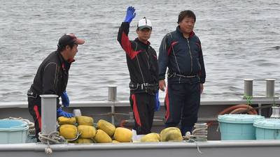 Japan begins first commercial whale hunt in more than 30 years