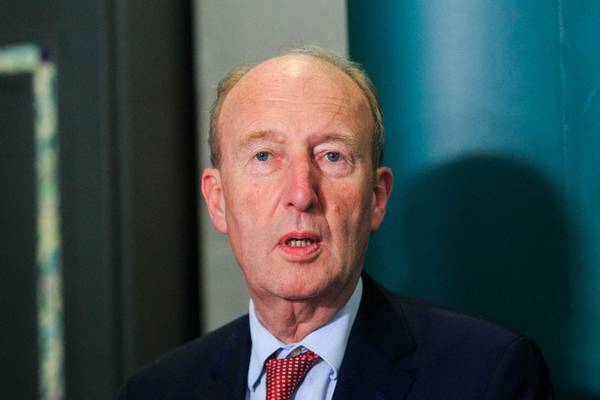 Shane Ross mistakenly voted for absent colleague but corrected record