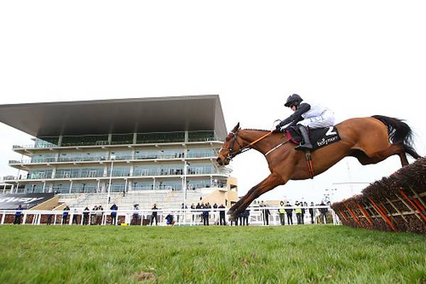 Bob Olinger lines up at Punchestown as the latest next-big-thing