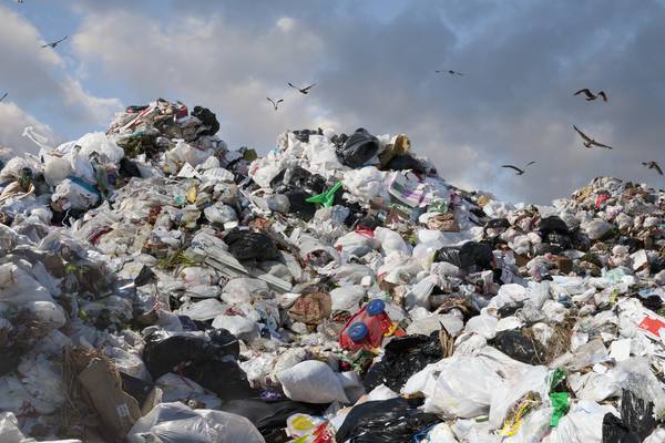 ‘Ireland’s Wild Waste’ shows us just how filthy lucre can be