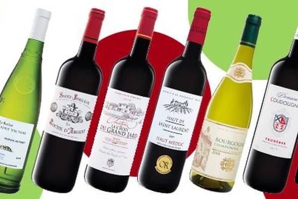 John Wilson: My eight favourites from Lidl’s French wine sale