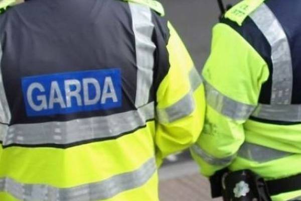 Man (75) dies after being hit by van in Co Cork