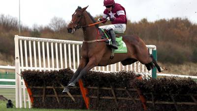 Identity Thief debuts over fences at Punchestown