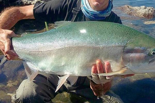 Angling notes: Law approved for salmon and sea trout fisheries